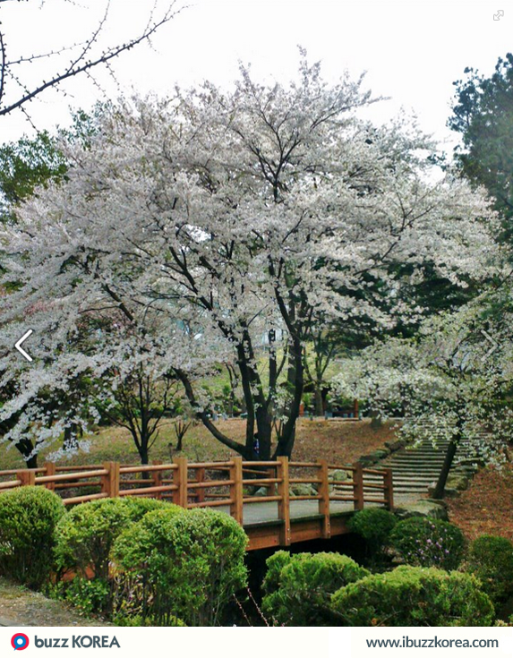 ibuzzkorea's tweet photo. [K-Trend]
March is an exiting month for campuses in #Korea as the new semester begins! http://t.co/3RT9wsuFN1