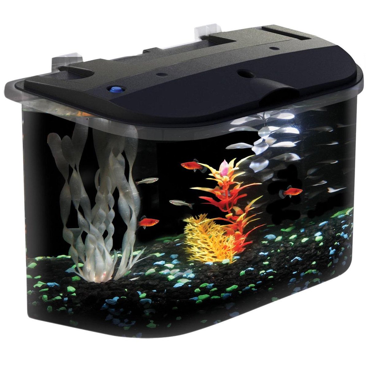 FinestFishTanks tweet picture