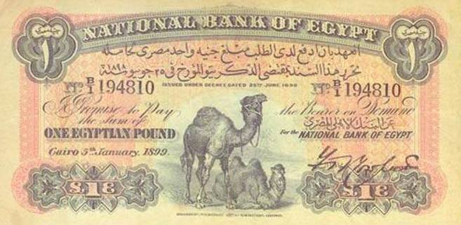 ExploreEgypt tweet picture