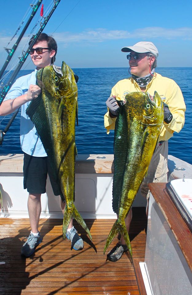 sailfishoasis's tweet photo. Couple of beaut Mahis from yesterday! The bite is on in Guatemala with plenty of bait, Sails and Marlin around. http://t.co/HP694Y55M8