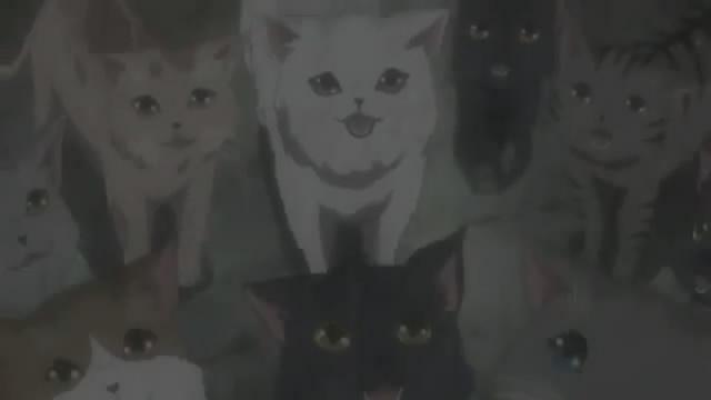 BbuNe3's tweet photo. Sebastian Michaelis, a one hell of a cat-fetish.... XDXDXD #BoM2 http://t.co/Tcdqf3SkSn