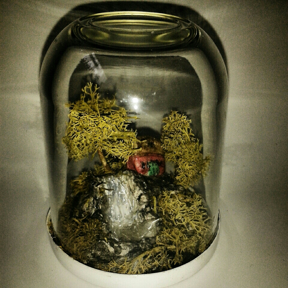artanddisasters's tweet photo. Just entered the @snaapiq 'Creativity - by user @krystakae' contest I made this fairy house. http://t.co/Lg1g449hZF