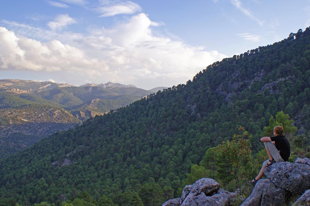 andaluciatipica's tweet photo. ¿Nos damos una vuelta por Andalucía?: http://t.co/riUEV3eDj2 ¡Impresiona! #Naturaleza #GoogleViews @viveandalucia http://t.co/qR9diOMjEg