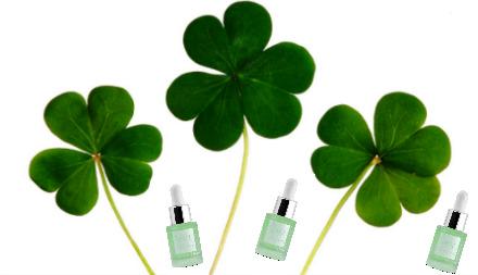 forestsecrets's tweet image. #HappyStPatricksDay enjoy the beautiful and fresh green