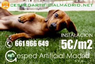 Ofertas en instalacion de cesped artificial en Madrid. 
Desde 5€/m2