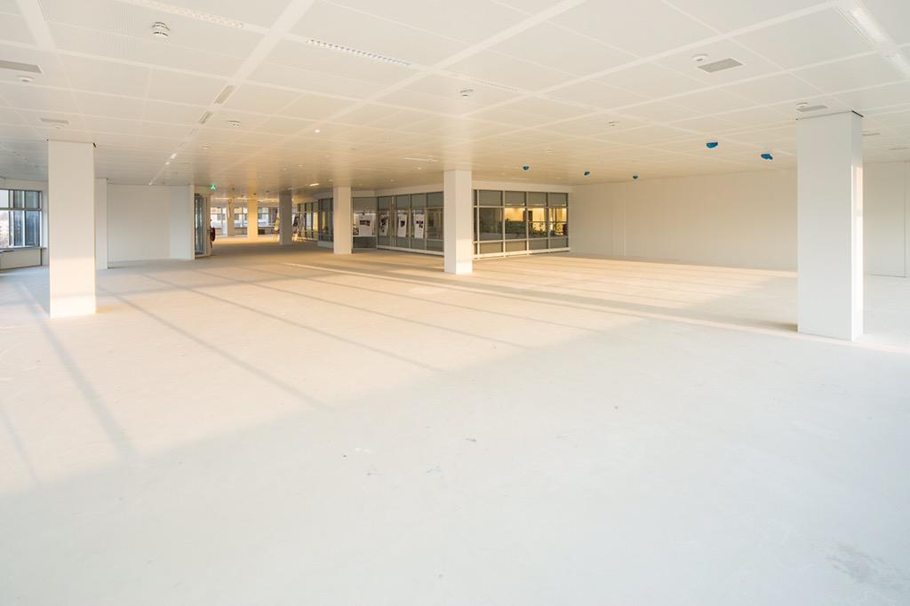 Rob de Kuiper tweet media