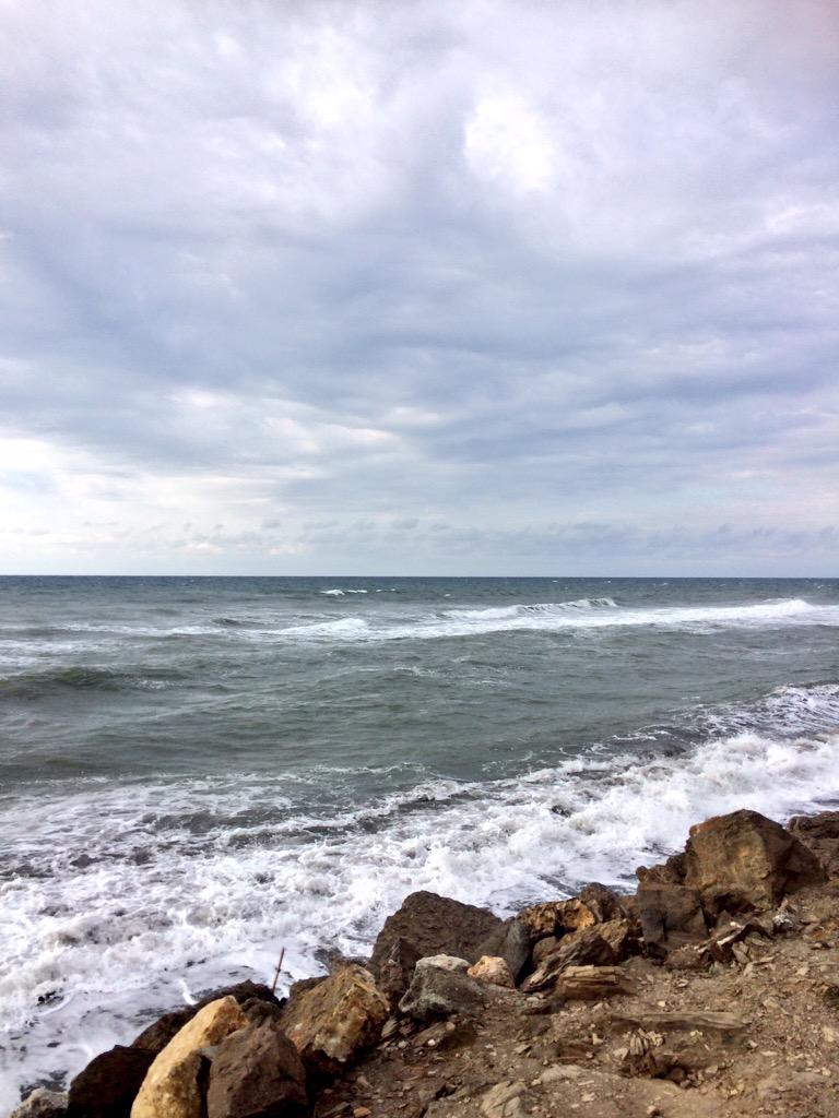 MariaDeLaTorr's tweet photo. Bienvenid@s y Feliz Martes

@Toperita_MLG @quesoalcornocal @MuseoRevello @Meaburrieron2 @Mi_PASCUAL_ @estefymalaga http://t.co/dN2k9fiVca