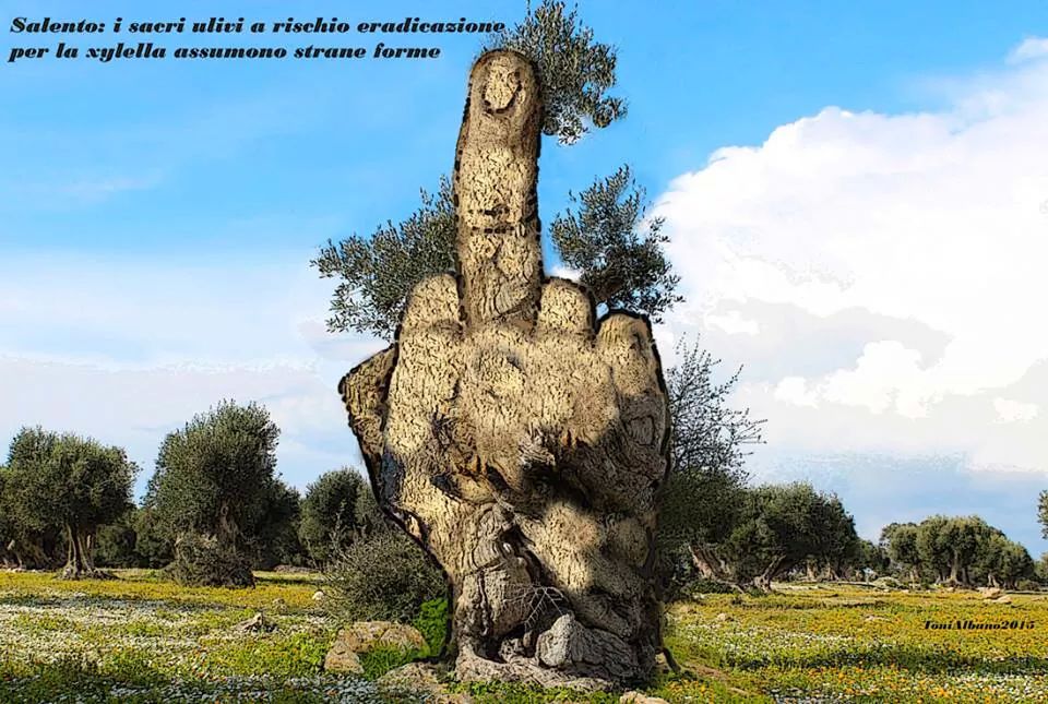 gabrieleultram8's tweet photo. Un buongiorno Fastidioso un regalo ai politici che vi stanno più sul cuore @no_tap @Tina_Minerva @nandupopusss http://t.co/QykRbOLmQE