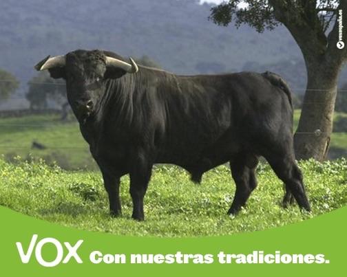vox_vizcaya's tweet photo. http://t.co/CBQwxZNFLI
