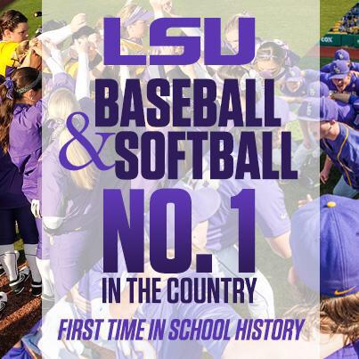 kelsieanders's tweet photo. 💜💛🐯⚾️ http://t.co/IPRzaVaCnL