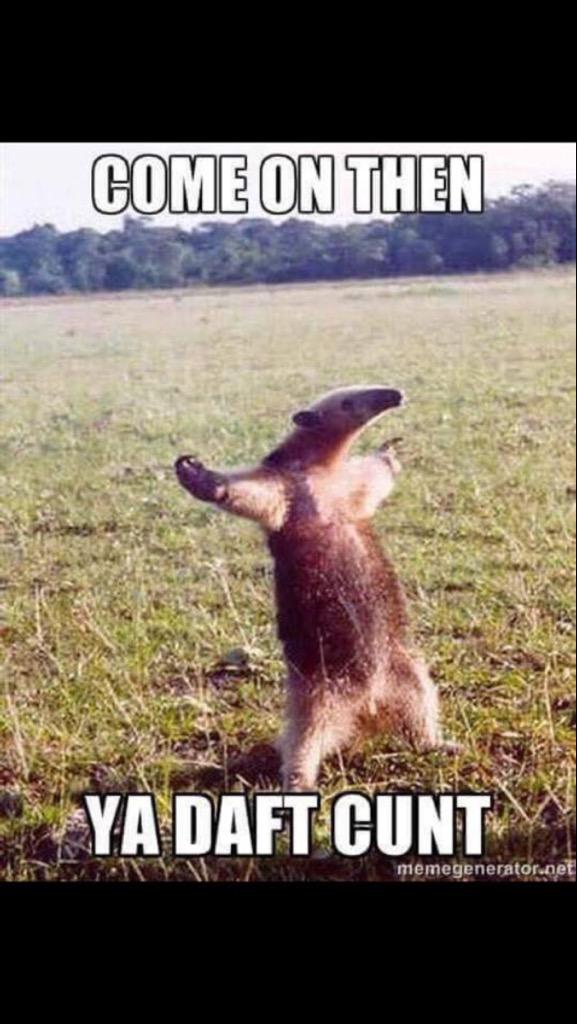 janesy93's tweet photo. This is defiantly me when I have a few too many beers and go rangers 😂😂 #CallMeCass #TheRangersRaider #GobbyMug 😩😩 http://t.co/Bx1Isyo59Z
