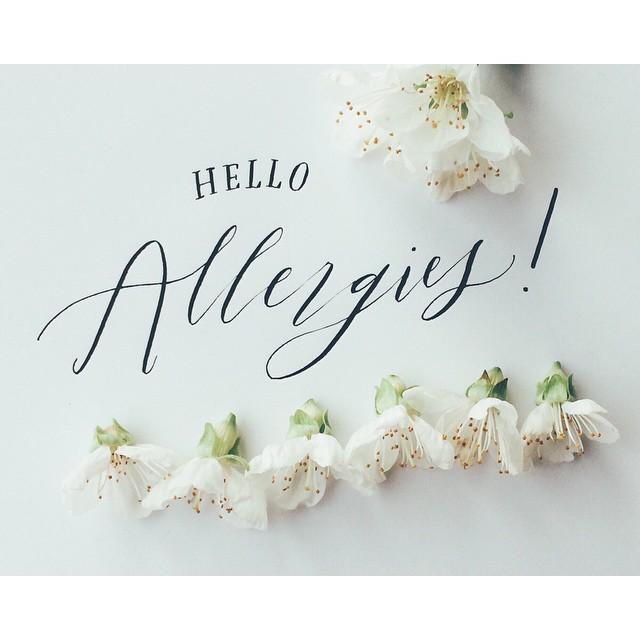 christinavulpes's tweet photo. ~Can't wait for Spring!!!~ 😪😪😪 #humansareweak http://t.co/bkgMFfwk1U http://t.co/T4g5tRCE7f