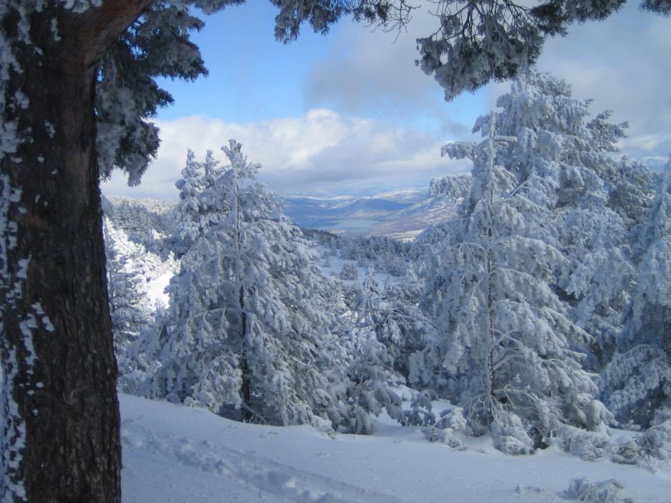 jabquesada's tweet photo. #Twitterformacion
Subida a Peñalara tras una copiosa nevada. Es un camino fácil que dura un par de horas. http://t.co/oFtHgprWDS