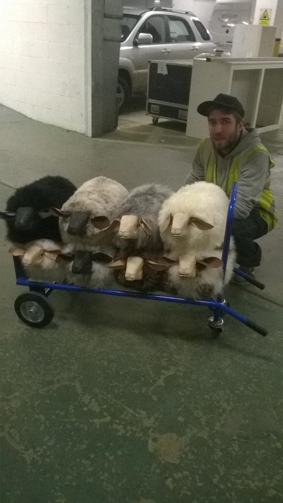 Sheep_seats's tweet photo. The flock found a friend to help them move at the #CLSpringFair @CLFairs #sheeponthemove http://t.co/YB24iOTDCC