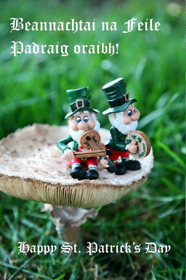 Happy #StPaddysDay to you all, come and enjoy a Guinness and a Jameson with a complimentary hat while stocks last