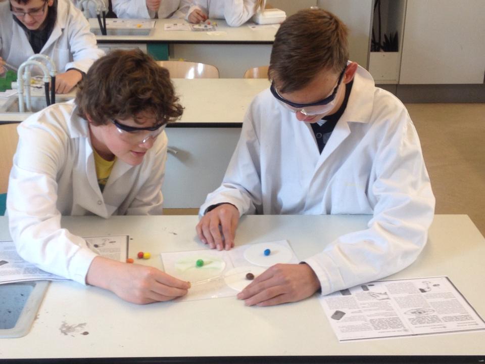 dlm_sk's tweet photo. Caput "Verbluffende Experimenten" klas 2: snoepchromatografie http://t.co/Hq02Qv9Ax3