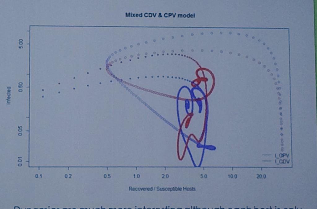 Ingebjørg H. Nymo tweet media