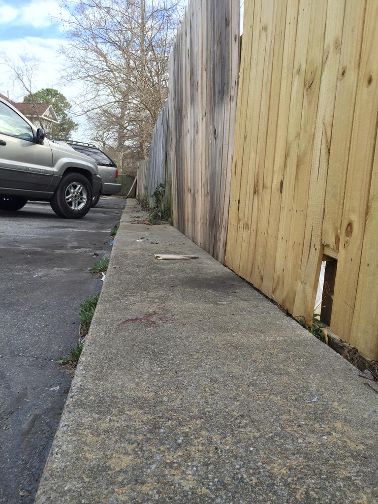 JackieMorlock's tweet photo. You can also see bloody sneaker prints in alley #Norfolk @WTKR3 http://t.co/qPvaRU4mro