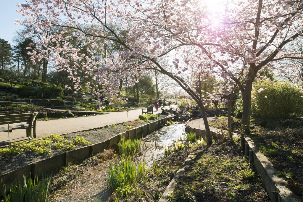 This time next month, 17 April, will see the first ever National Open Gardens Day! See nationalgardeningweek.org.uk/National-Open-… #NGW