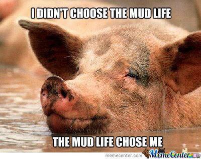 VPIFarmHouse's tweet photo. Need to keep your New Year's resolution going? Sign up for our Mud Run this Saturday on our website! #FHMudRun http://t.co/qEFcNHoSFo