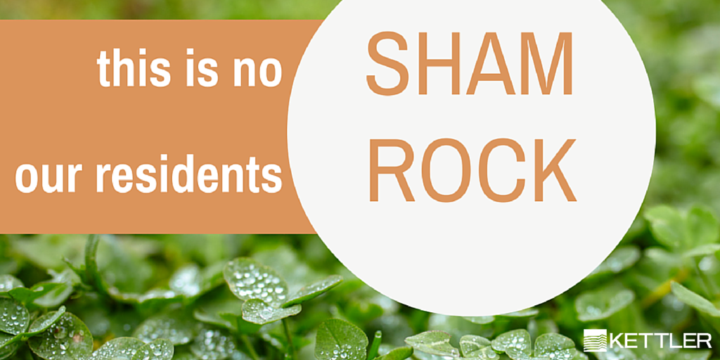 TheFieldsofSS's tweet image. Happy #StPatricksDay! #PotOfGold