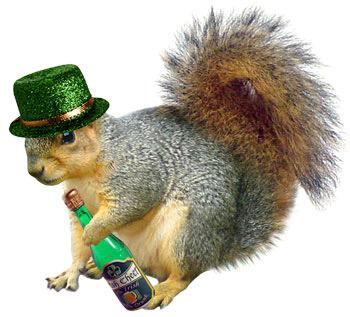 FGSquirrels's tweet photo. Happy St. Patrick's Day http://t.co/TLN1fnFgAe