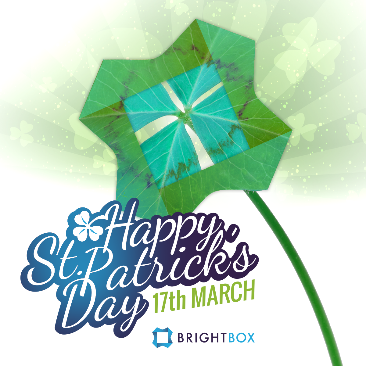 bright_box's tweet photo. Happy Saint Patrick's Day! 🍀 http://t.co/nNC3OqqrSP