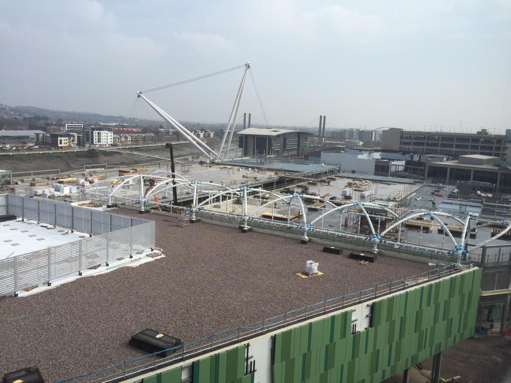 Bingham Hall tweet media