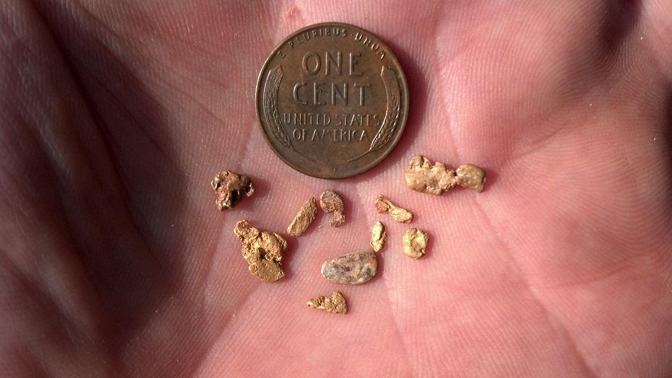 Ray Mills found these ten #gold #nuggets totaling 2 grams with his Fisher F19 while #metaldetecting a creek bed.