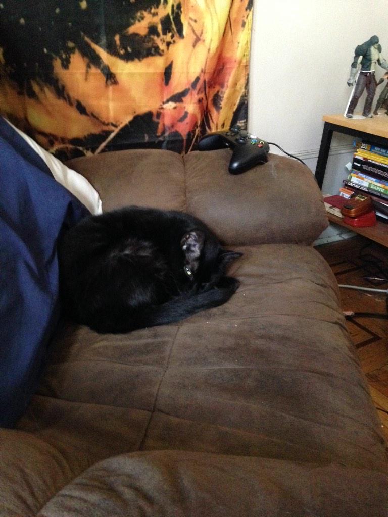EricBMarion's tweet photo. Seat thief on the loose, if you see her she is probably in your seat #seatthief http://t.co/NV7zn5aiHJ