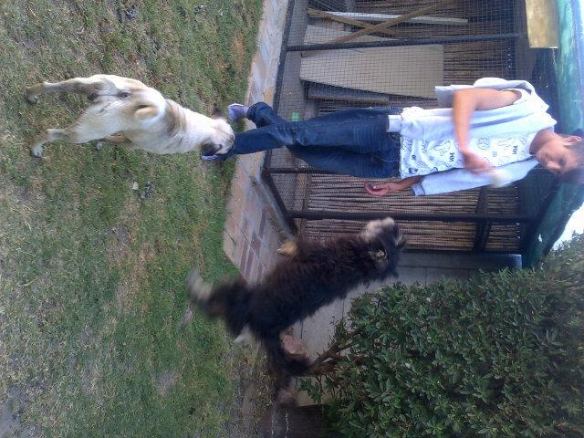 adelejoubert96's tweet image. Tokkie #Dill