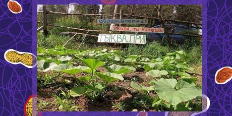 А вы спрашиваете, откуда берутся такие беспорядочные овощи и фрукты. http://t.co/4Nw0jRC22w