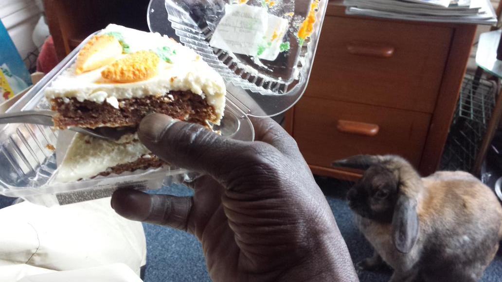 farmerdarrell's tweet photo. .@countrygal3000 over time, I've learned how to carefully #disect a slice of carrot cake @PajamaDaze @crvallotton http://t.co/p61KdVlGbz