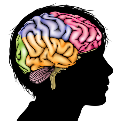 TheNativeTimes's tweet photo. Neuroscience taps subconscious to prove native ads better than banner ads - http://t.co/cmlDWoMLrs #nativeadvertising http://t.co/dekCEyMxo8