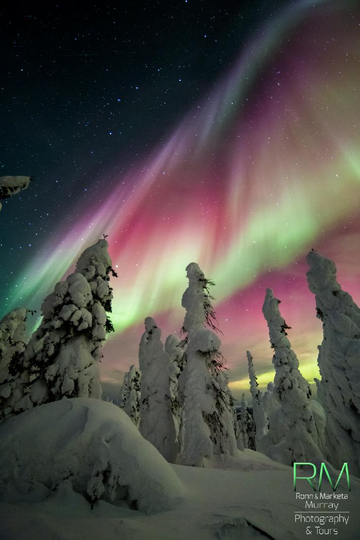 EpicCosmos's tweet photo. "Insane" #aurora reported over #Alaska. By Marketa Murray on March 17 Dalton HWY, Alaska. http://t.co/HVVXxTwjXq http://t.co/QMAxeEozns