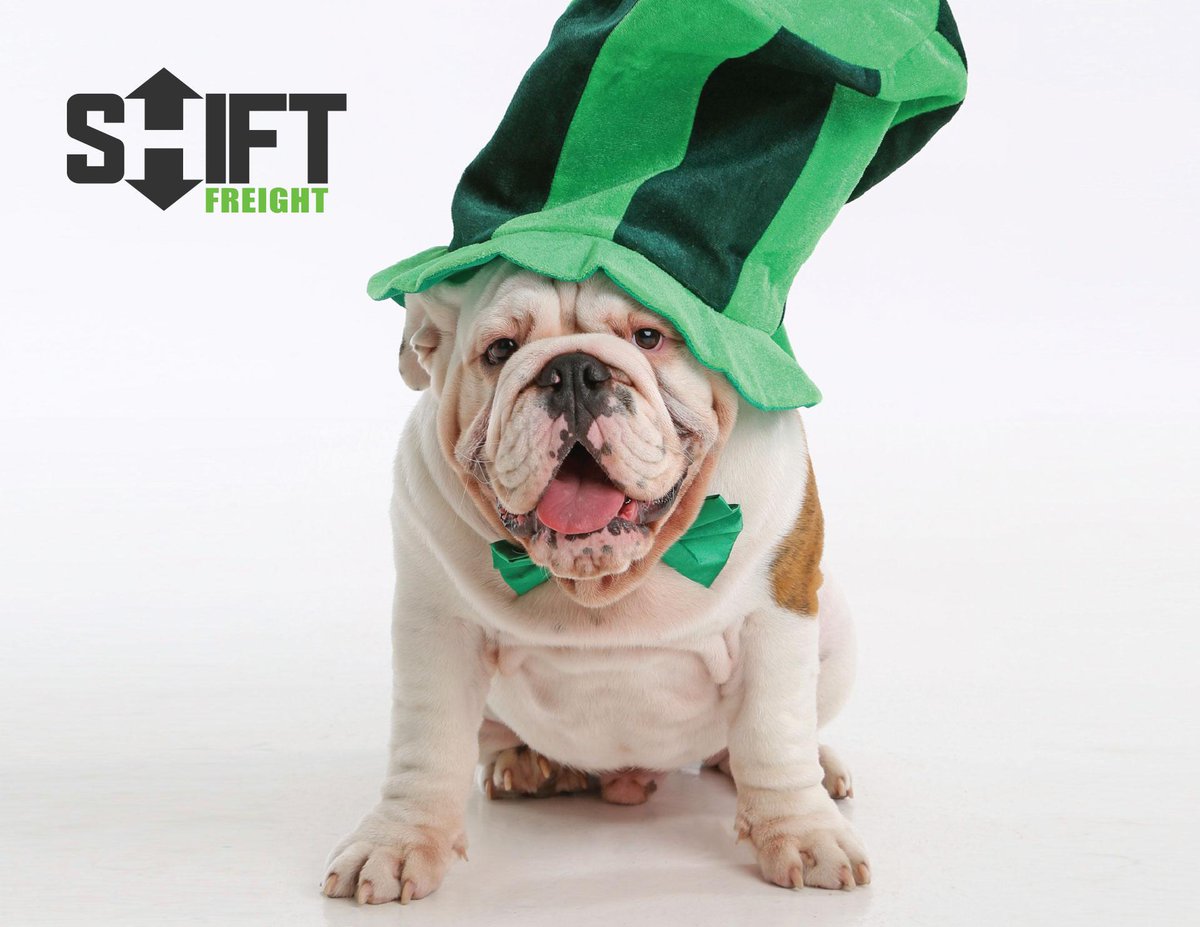 SHIFTFreight's tweet photo. Happy #StPatricksDay! - Paddy O' Moose #TopOthemornintoya #Moosethebulldog #SHIFTgreen http://t.co/h1OumYDSCw