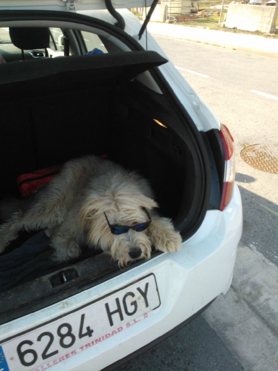 urtzi_ig's tweet photo. Creo que el esta mejor que ninguno.jaja como vive el tío... http://t.co/Qob8u23d50