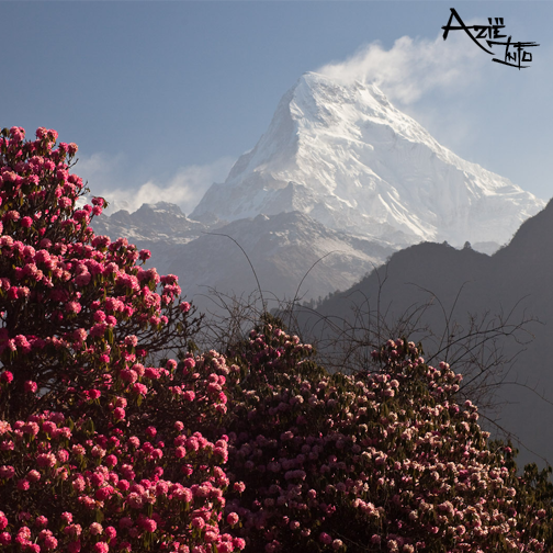 #Nepal is voornamelijk bekend om het #Himalaya gebergte en is dus ook erg populair onder bergbeklimmers.