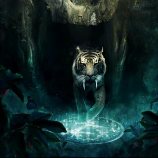 TehyaHall's tweet image. 