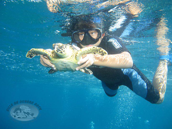 One of a kind #SpringBreak #vacation #getaway #scuba  #snorkeling  #Diving #private #island  #resort #Honduras.