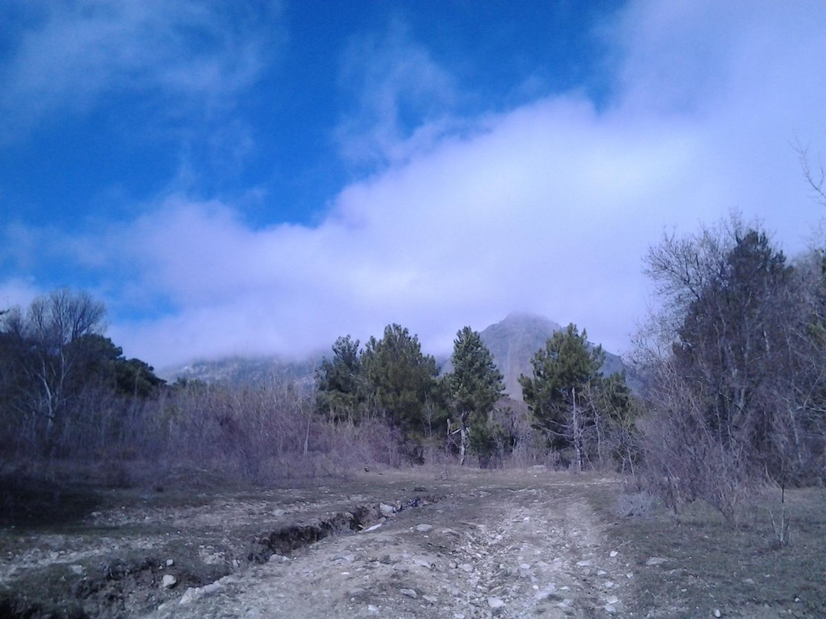 GalinaDimova2's tweet photo. http://t.co/hl2wx08pja