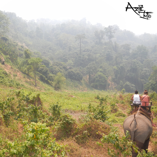 Een prachtige rit op een olifant door de jungle van Chiang Mai. Met wie zou jij dit nog eens willen doen?