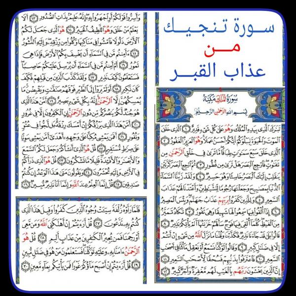 doaa24seven's tweet photo. سورة تنجيك من عذاب القبر
سورة الملك http://t.co/56jAewvjPg