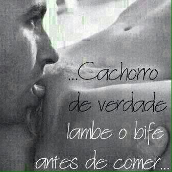 Bruno Badas (@brunobadas) on Twitter photo 