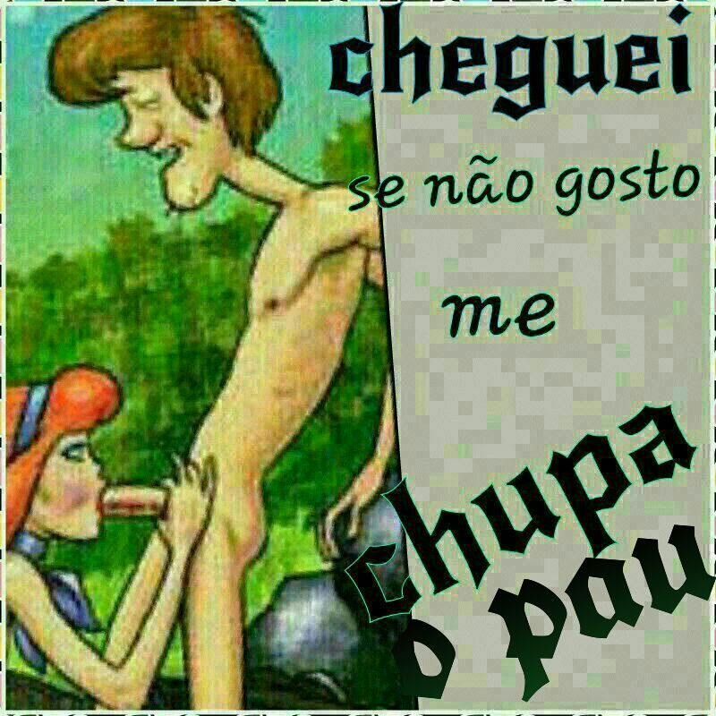 Bruno Badas (@brunobadas) on Twitter photo 