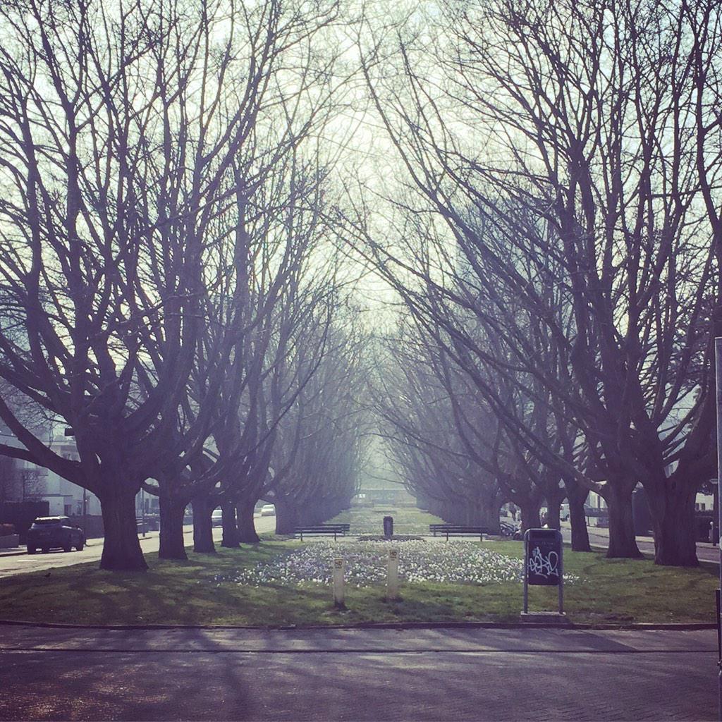 #Voorjaar in #Amsterdam prachtig! #detuinvrouwen