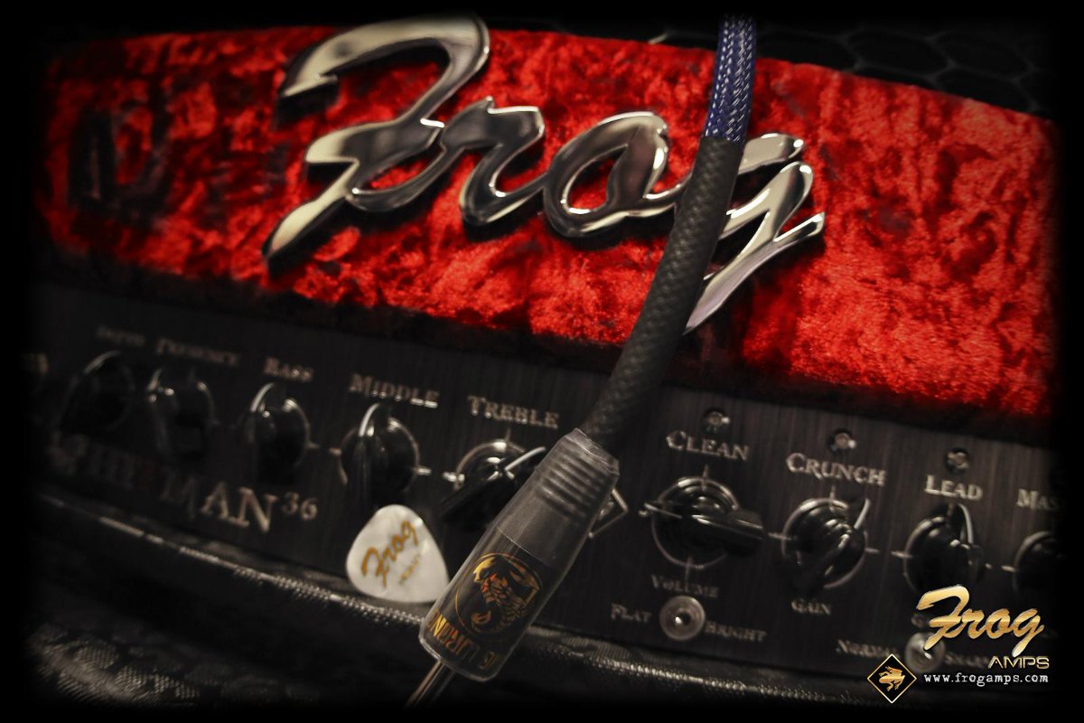 Risultati immagini per frog amps