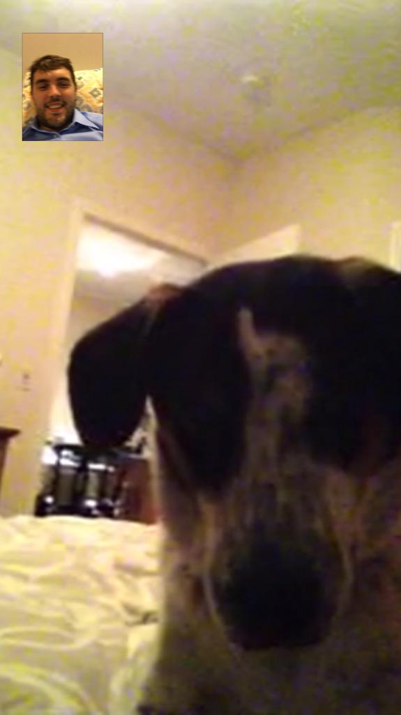 Oconnellryan's tweet photo. That moment where you've been gone for so long you have to FaceTime with your dog #tobenstein #techfordogs http://t.co/v0JD1XkpfS