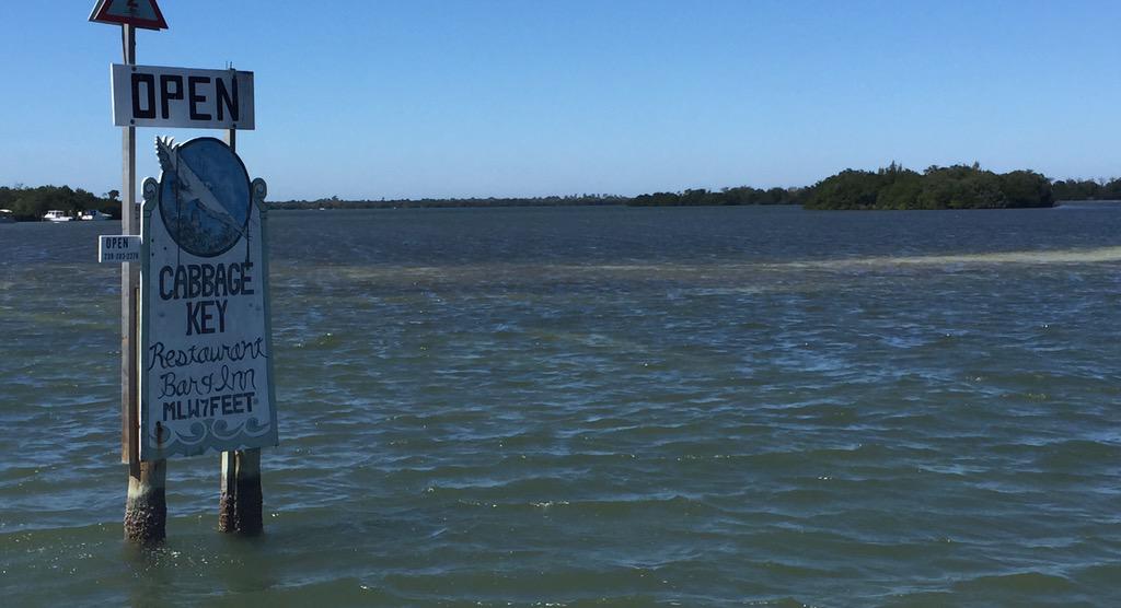 helzdia10k's tweet photo. Lunch on Cabbage Key with @larry_winters @mbundy #viewfromourtable #itsstpattysday #notluckofirish #LTD100K http://t.co/F7kfC7UyyJ