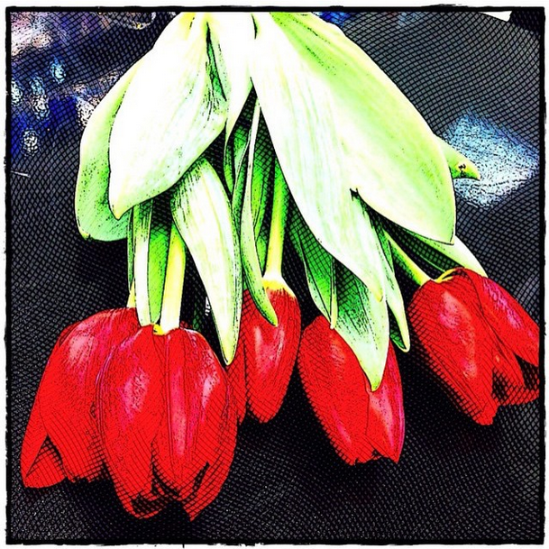 etchingsapp tweet media